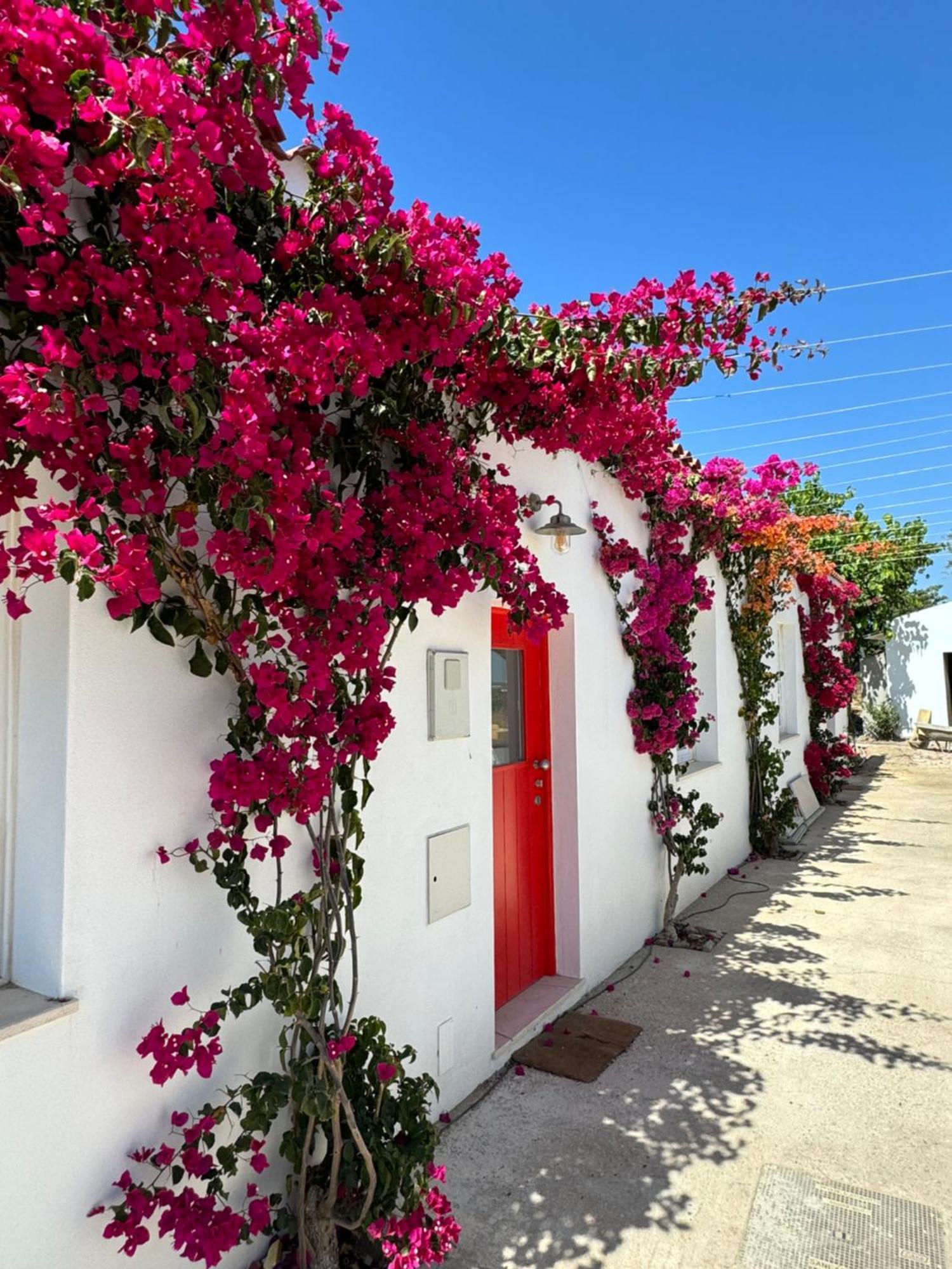 Quinta Castor Villa Vila Nova de Cacela Eksteriør billede