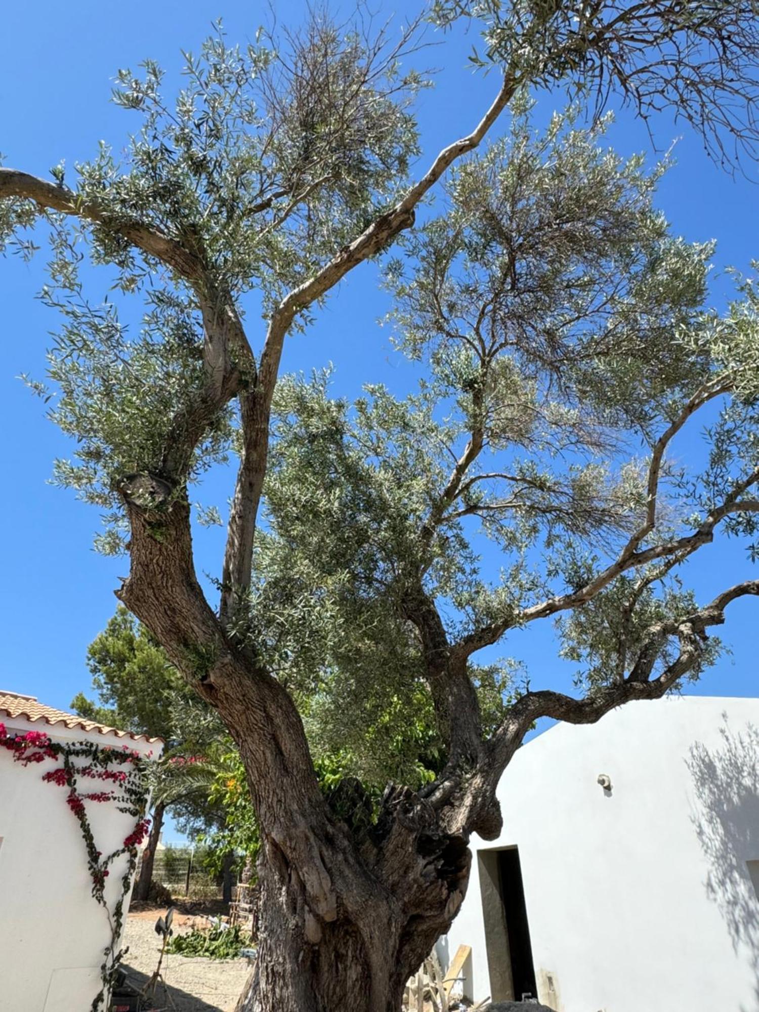 Quinta Castor Villa Vila Nova de Cacela Eksteriør billede