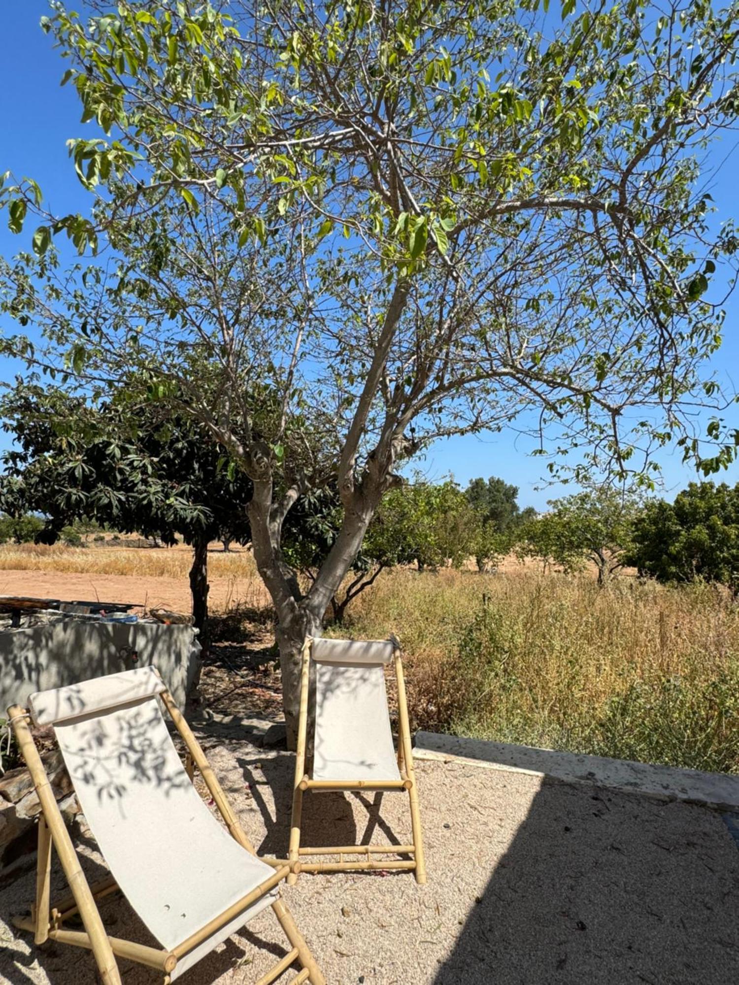 Quinta Castor Villa Vila Nova de Cacela Eksteriør billede